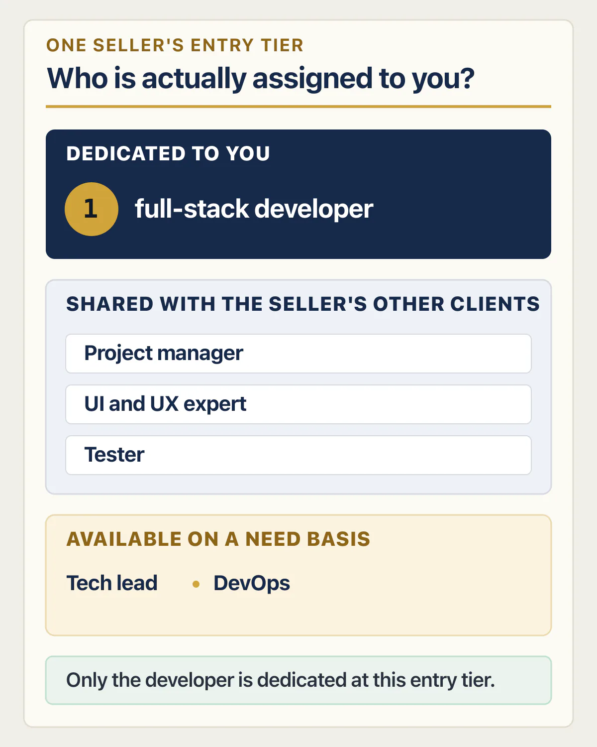 Entry team tier with one dedicated developer, roles shared with other clients, and roles used as needed